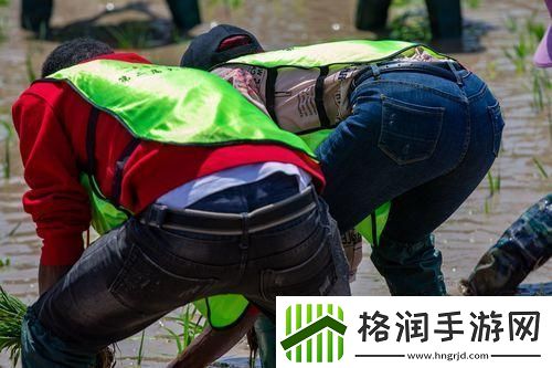 外国情侣插秧“神操作”