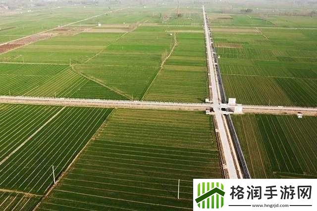 老刘张雪妮焕发生机新貌展现