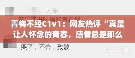 青梅不经C1v1
