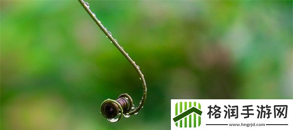 出租房里的交互高康张睿篇