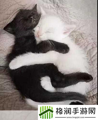 三个人黑白配的玩法