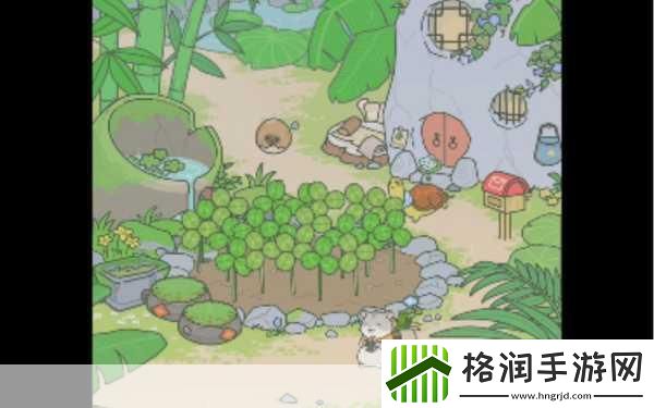 旅行青蛙乌龟爱吃什么乌龟喜欢及讨厌食物一览