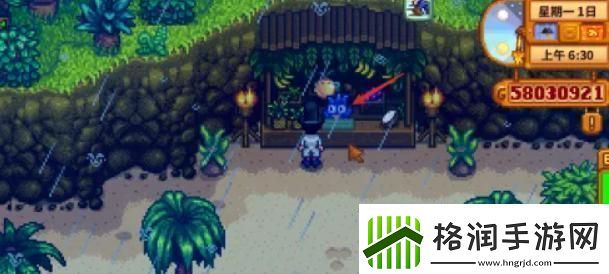 星露谷物语金椰子怎么开金椰子开启方法