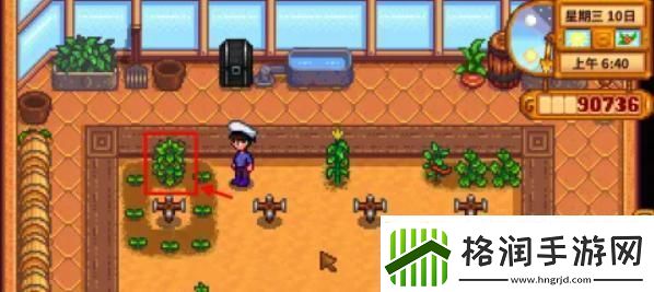 星露谷物语咖啡怎么做