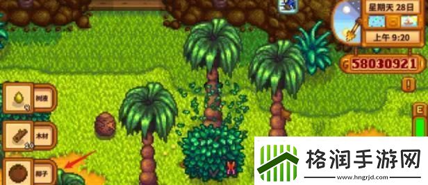 星露谷物语金椰子怎么开