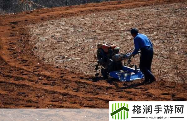 儿子耕了母亲荒废的田