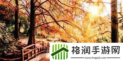 中国高清windows视频软件