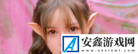 双跳DAN怎么用放在哪