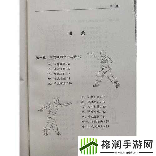 少林秘籍选择推荐