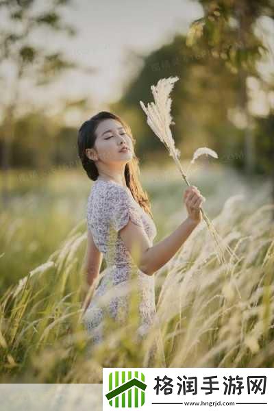 1819岁macbook日本hd被限制