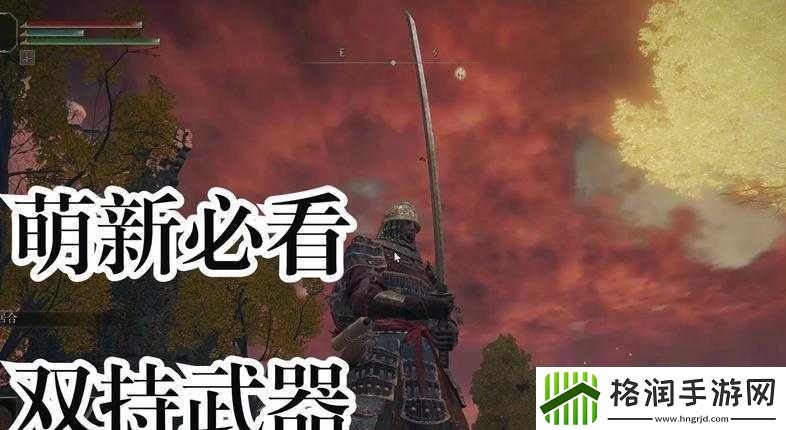 艾尔登法环怎么双持