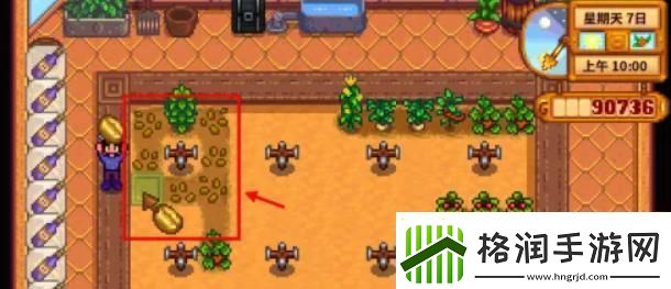 星露谷物语咖啡怎么做