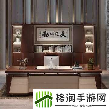 老板的办公桌中字