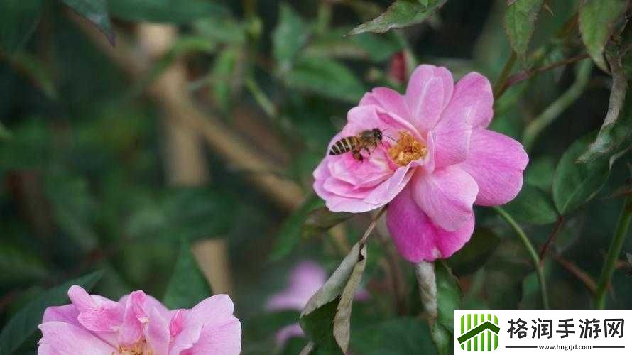 亭亭玉立国色天香四月天科普