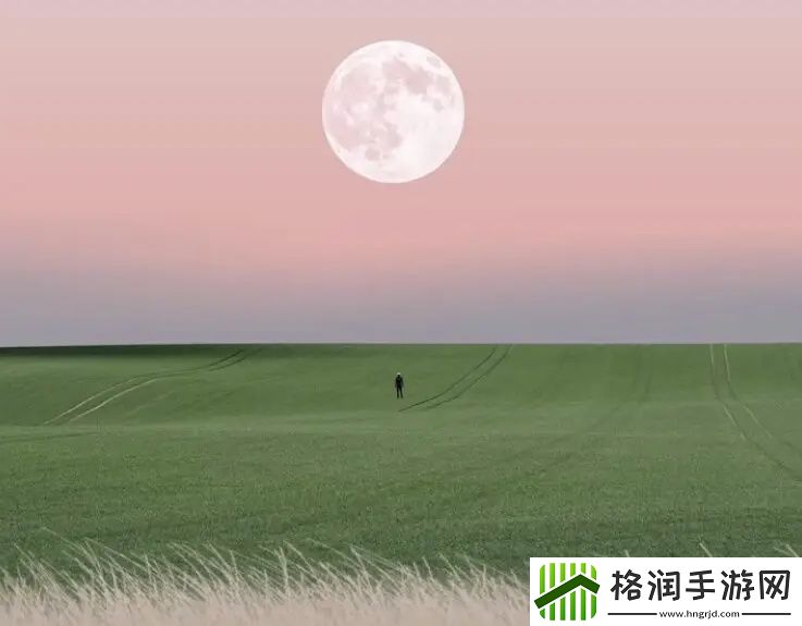 精华液一区二区区别解析