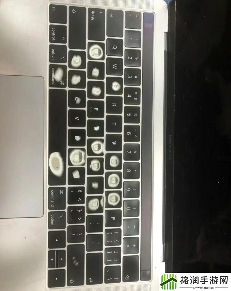 老龄1019岁MacBook在日本