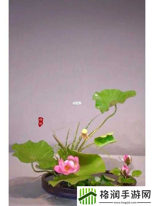 插花弄玉曲径通幽又重新上线了