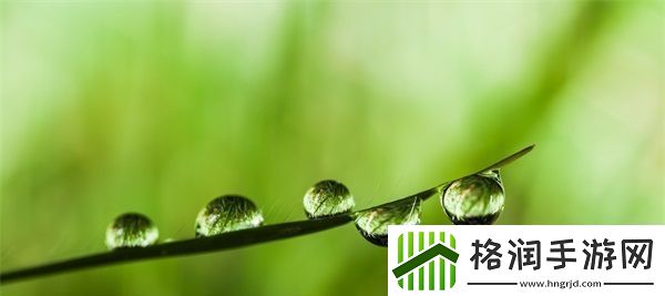 粉色水蜜桃和日本樱花区别