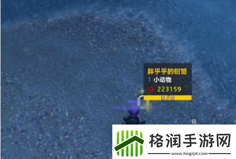 魔兽世界蓝玉蟹宠物怎么得