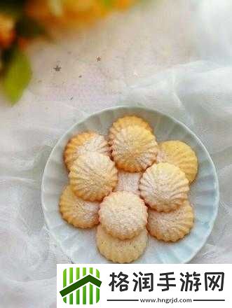 一小时人生饼干制作及做法解析