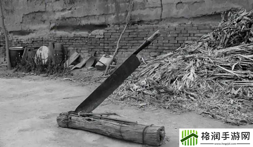 小学六年级小馒头