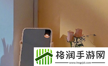 大奉打更人插花弄玉的背景故事