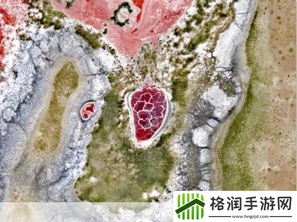 魔兽世界北地之卵哪里刷