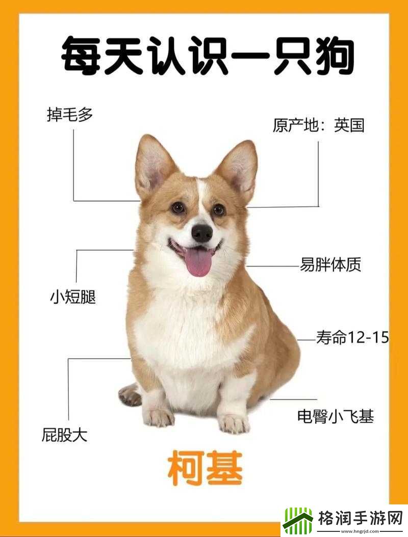 脑洞挑战第153关