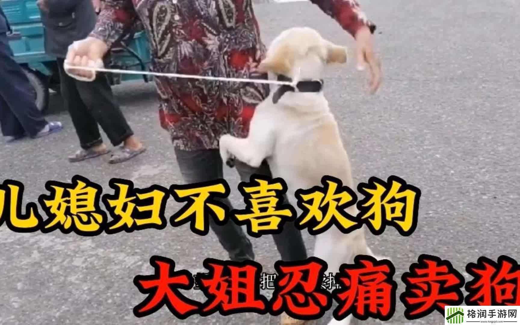 婆婆的犬吠抗议