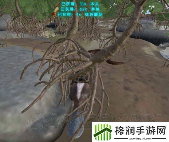 方舟生存进化新手玩法技巧介绍