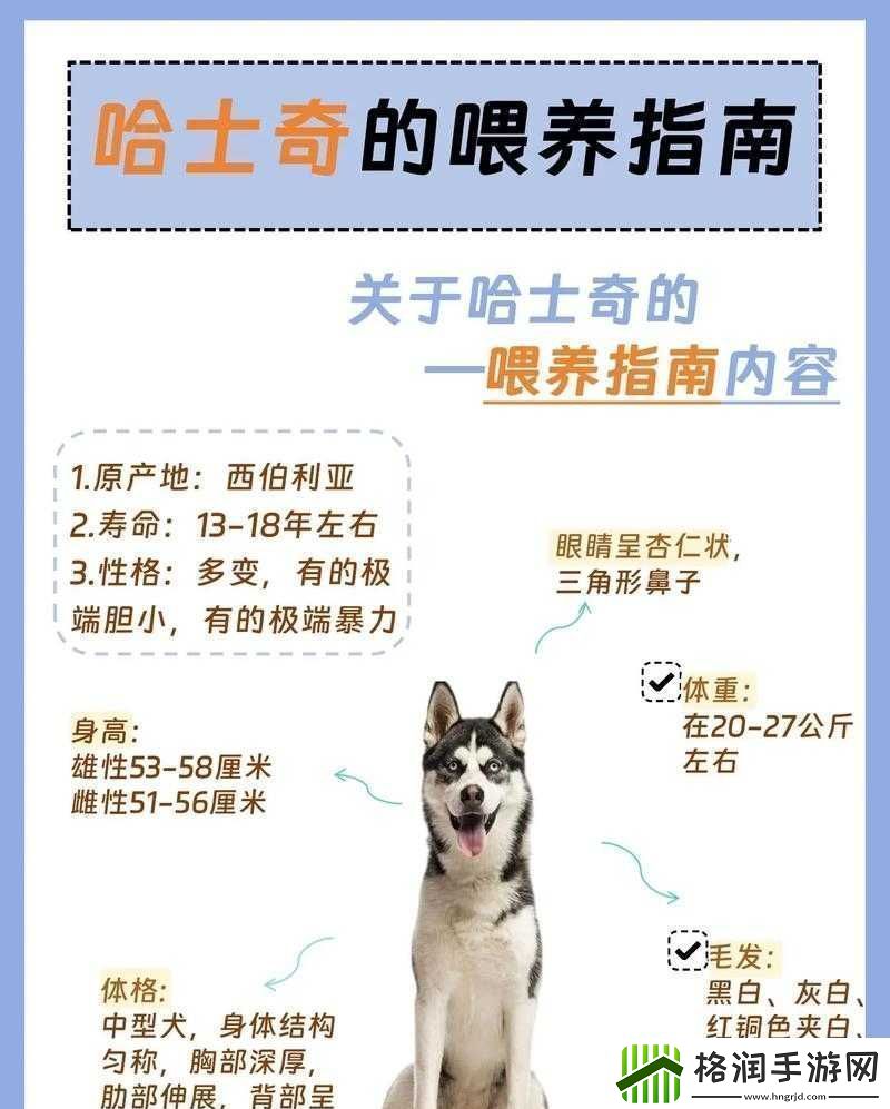 人狗胶配方大全狗狗使用