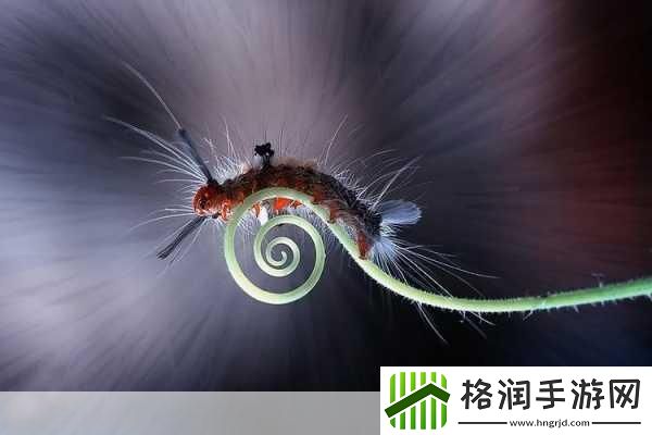 魔兽世界希利苏斯异种虫在哪