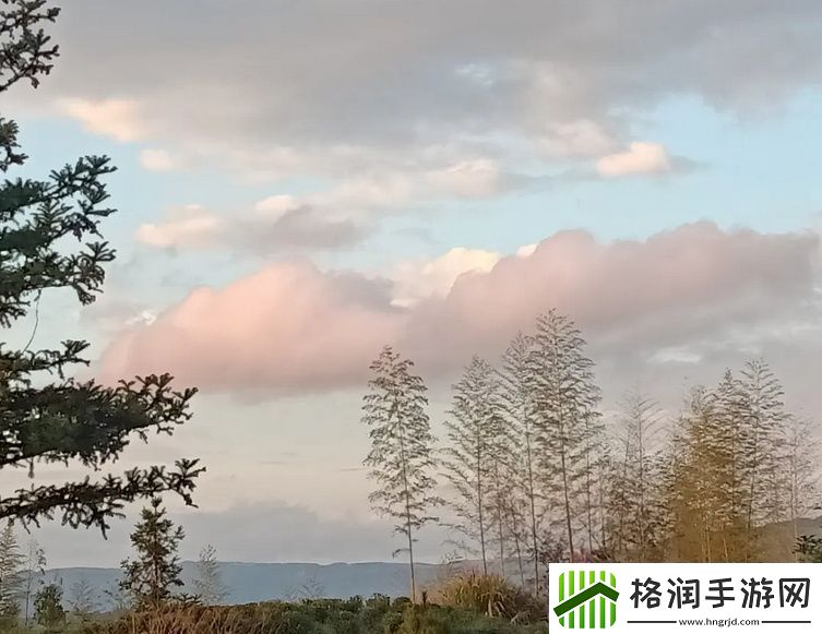 可不可以干湿你现场播放的艺术表现形式探讨