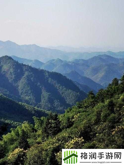 月华神卡牌简介及武功介绍