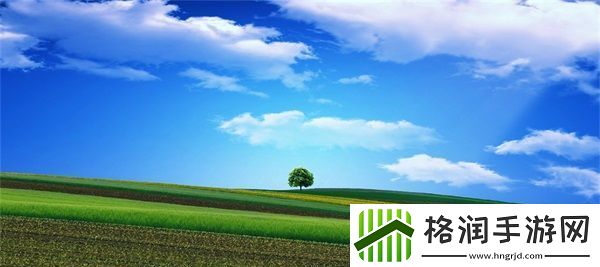 麻豆精产一二三产区