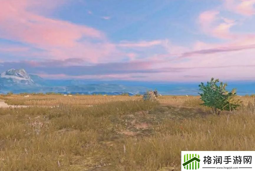 成色p31s是国精产品吗