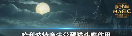 哈利波特魔法觉醒守护神狐狸获得攻略