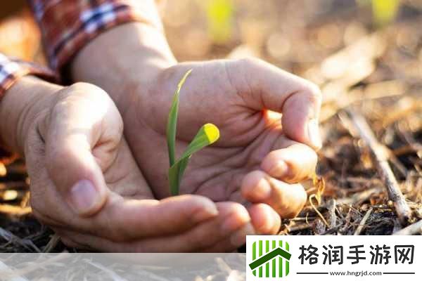 校园绑定JY收集系统宋涵