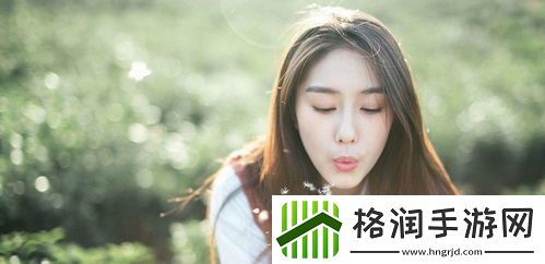 成品网站nike源码1688免费