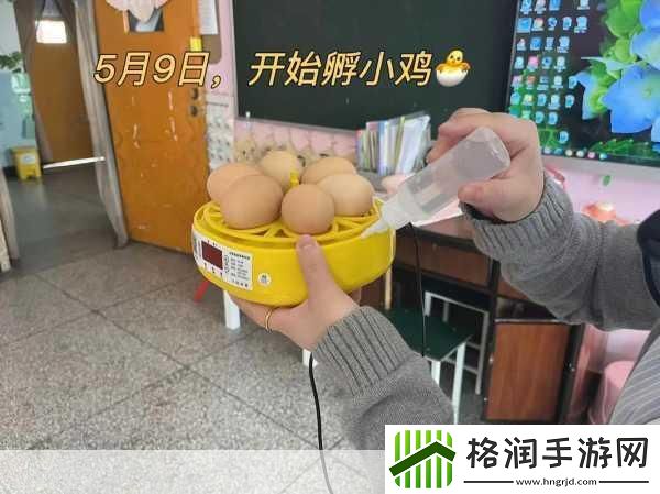 甜蜜谜题大挑战