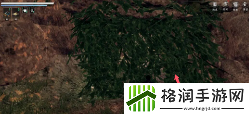 下一站江湖2白首太玄经怎么获得