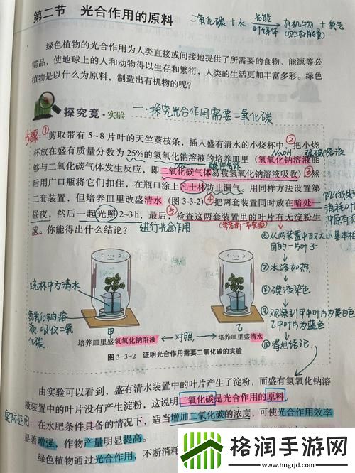 “课时‘活体解剖’