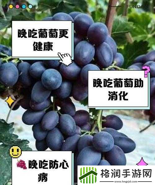 葡萄不准掉出来晚上检查