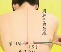 男女嗟嗟疼还往里寒最新下载安装带来新功能