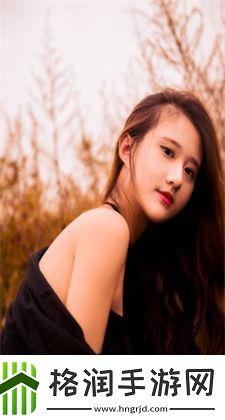 野花视频在线观看高清