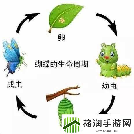 虫子产卵工具引发的奇妙经历