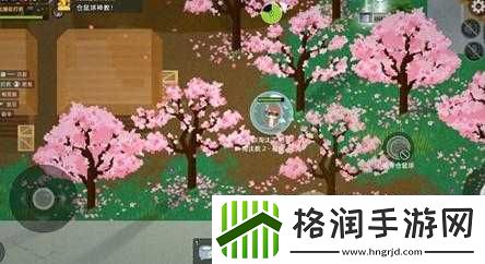 小动物之星桃花林位置指南