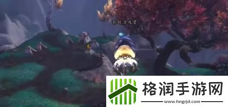 介绍瞎忙的谐奏