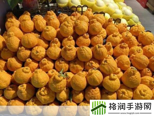 丑橘和耙耙柑是不是同品种的水果