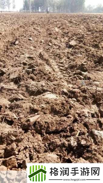耕耘大婶的肥沃的土地1.耕耘大婶的肥沃土地